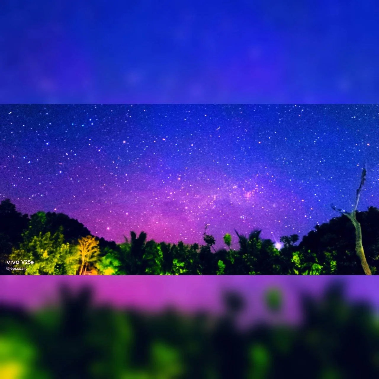 1000043699.webp