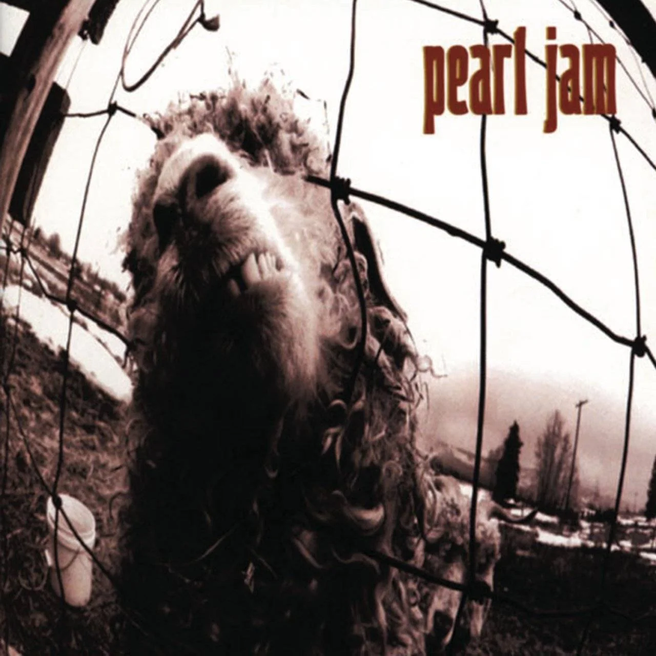 [ Hi-Res TR24 OF (24-Bit 96.0 kHz) FLAC (TRACKS) ] - PEARL JAM - [ 1993 (2013) ] - Vs. (Remastered) + Artworks (PDF)