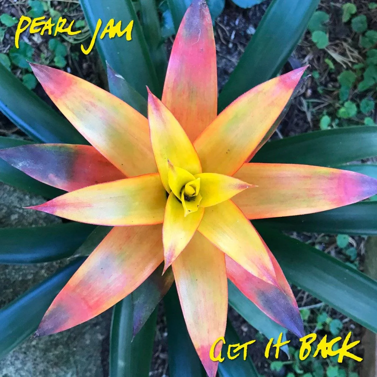 [ Hi-Res TR24 OF (24-Bit 44.1 kHz) FLAC (TRACKS) ] - PEARL JAM - [ 2020 ] - Get It Back (Single)