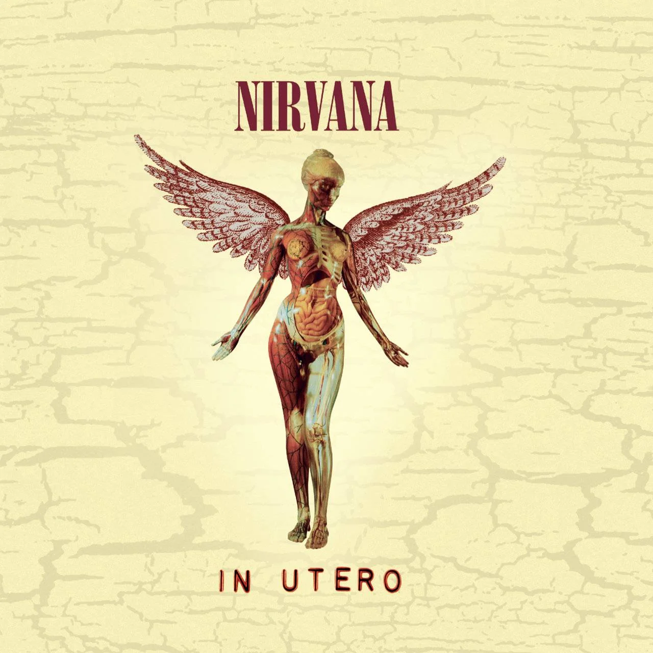 [ Hi-Res TR24 OF (24-Bit 96.0 kHz) ] - NIRVANA - [ 1993 (2013) ] - In Utero (20th Anniversary Remastered Edition)