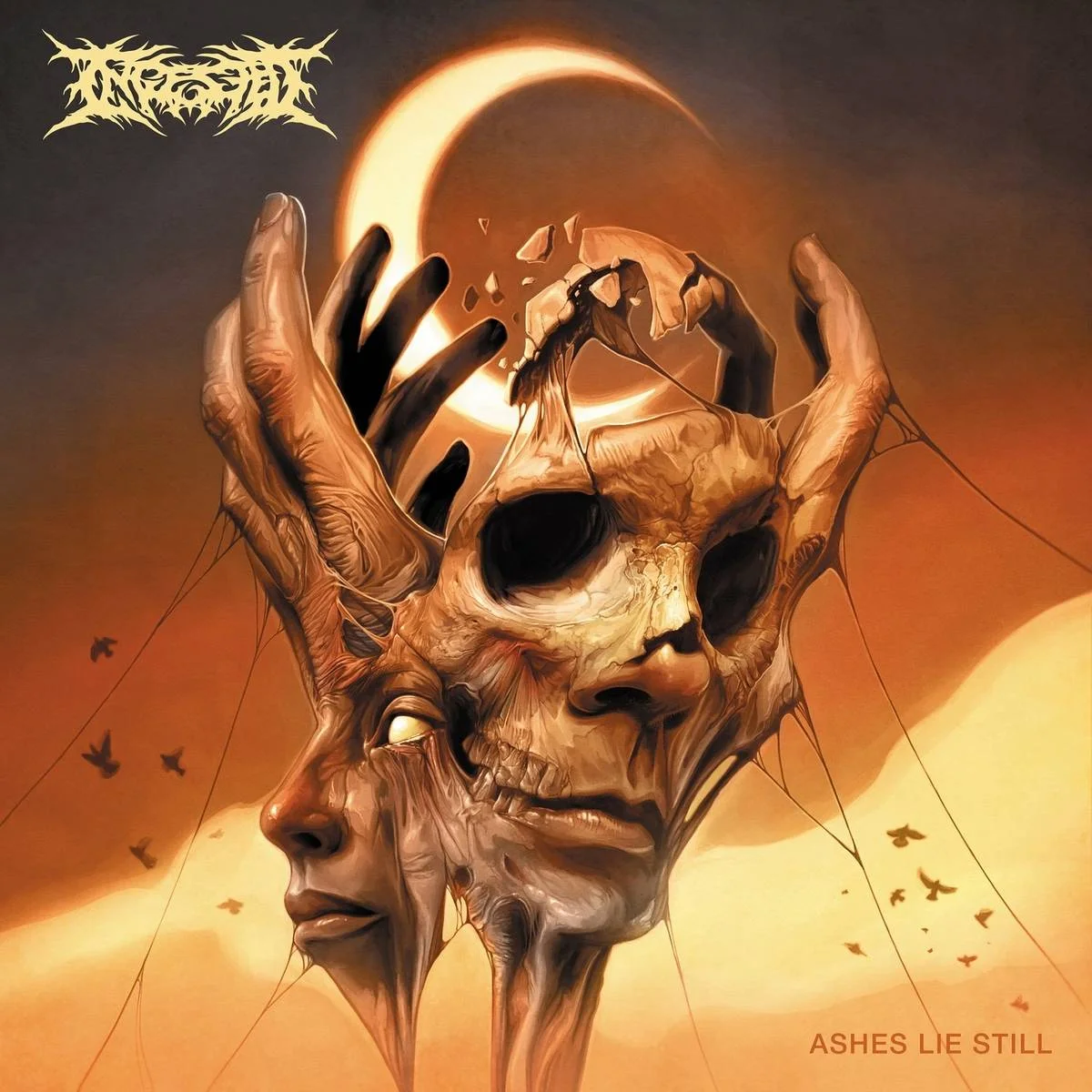 [ G.Drive ] - Ingested - [ 2022 ] - Ashes Lie Still - [ FLAC (Tracks) 16-Bit 44.1 kHz ]
