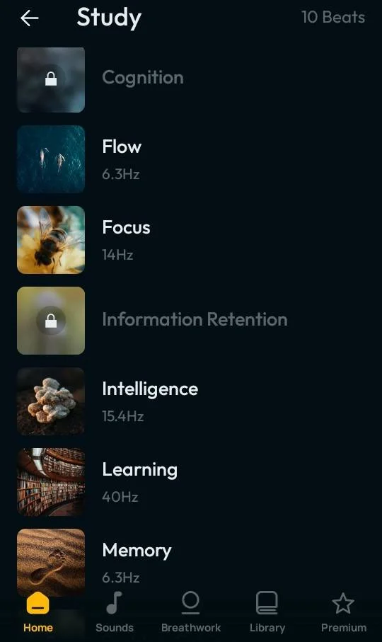 Focus Meditation.jpg
