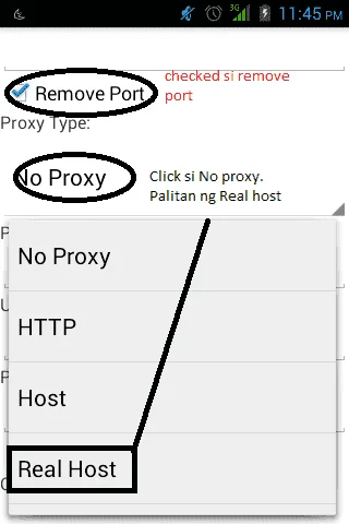 1.webp
