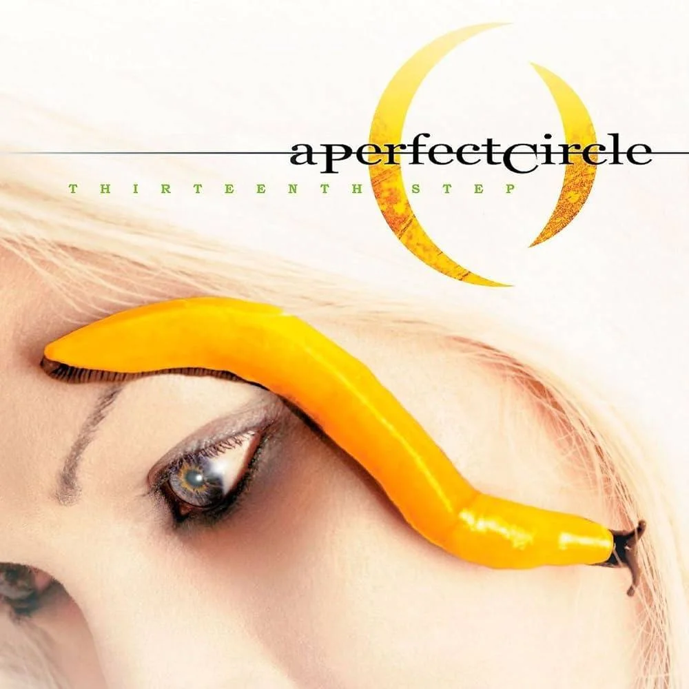 [ Hi-Res RM in TR24 ] - A Perfect Circle - [ 2003 ] - Thirteenth Step - [ FLAC (Tracks) 24-Bit 48.0 kHz ] [ Official DR Value : DR11 ]