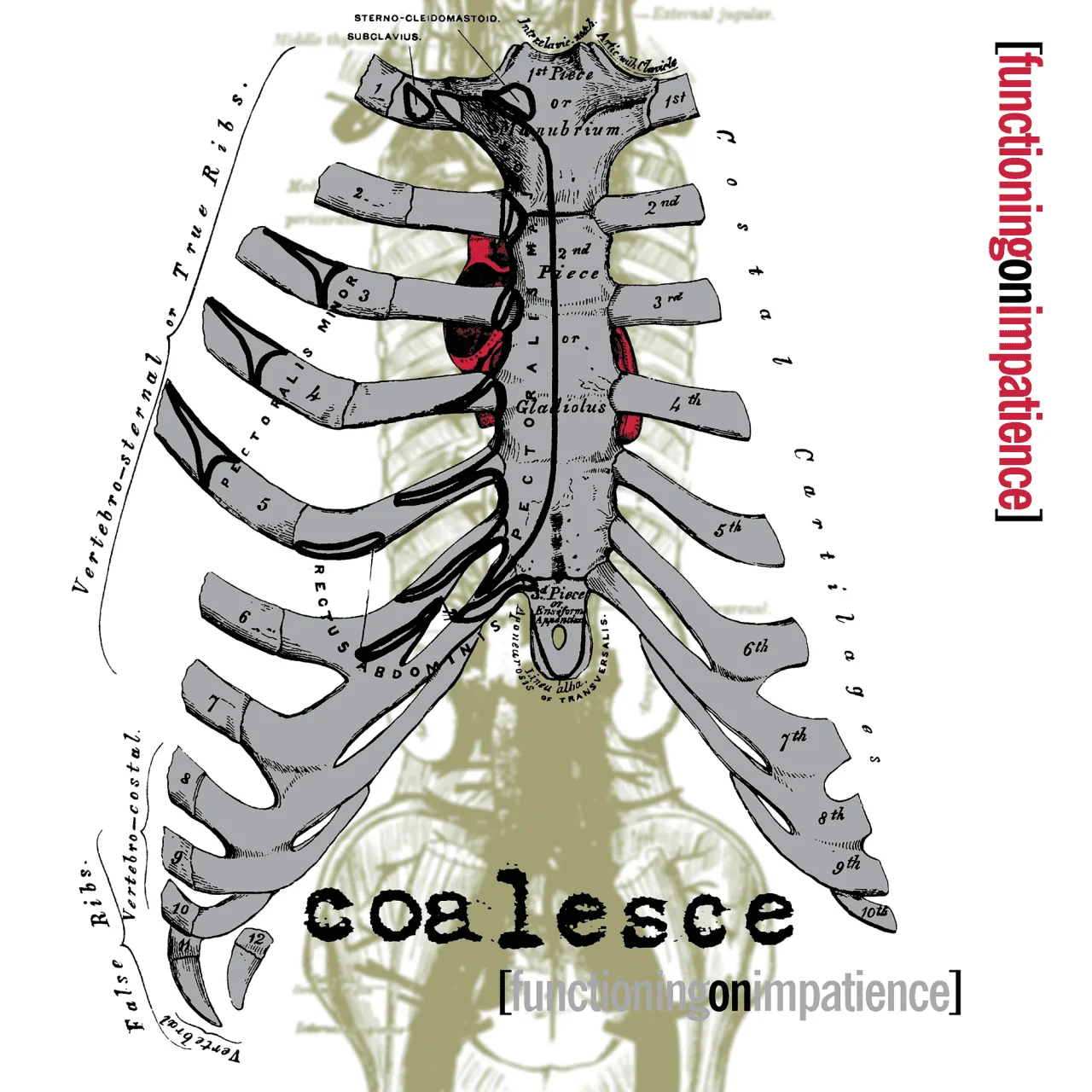 (Req.) - Coalesce - [ 1998 ] - Functioning On Impatience - [ FLAC (Tracks) 16-Bit 44.1 kHz ]