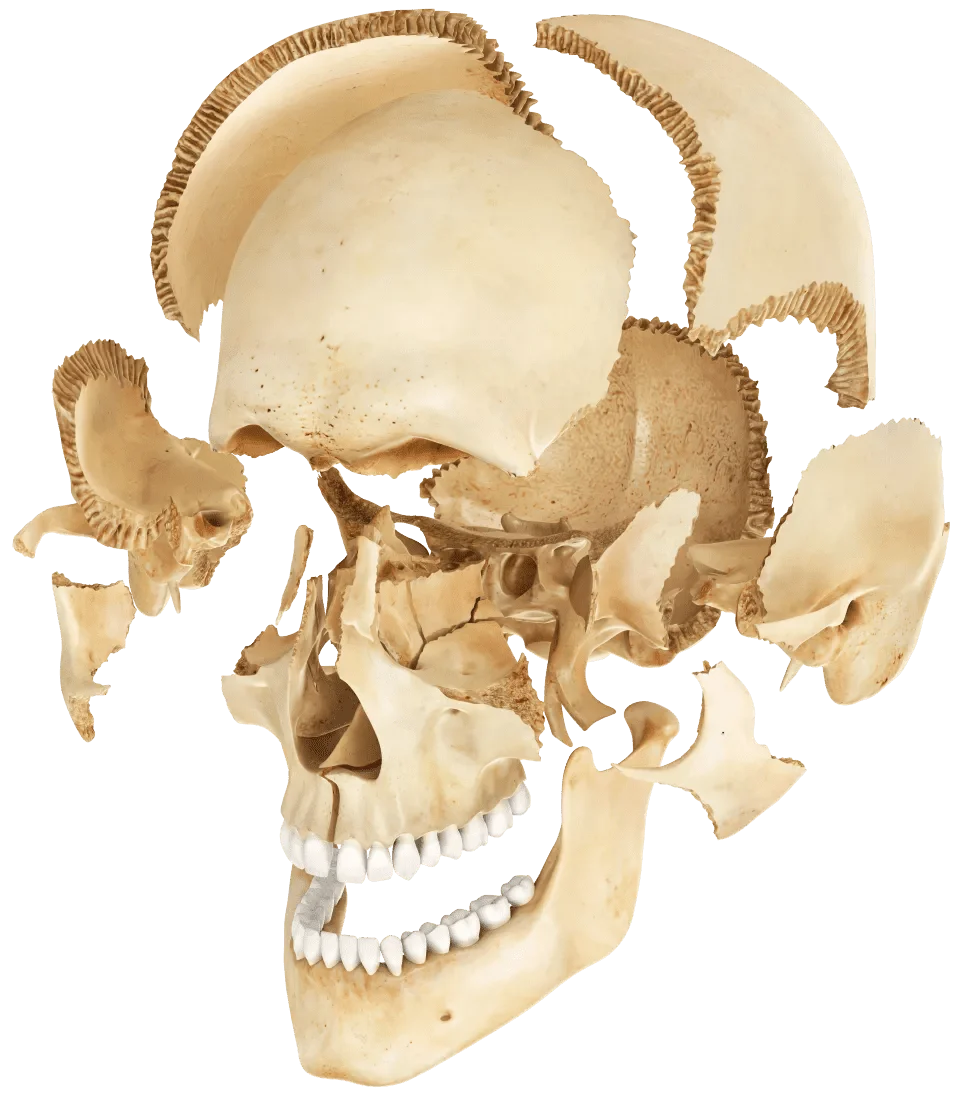 1714003424044.webp