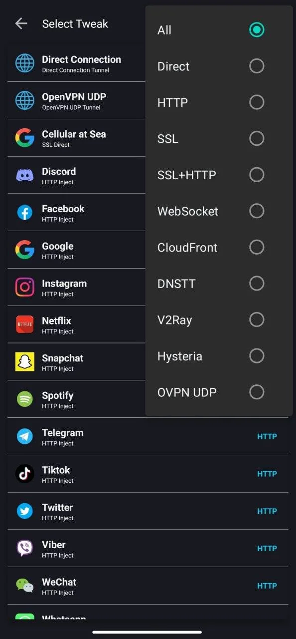 Screenshot_2024-04-27-02-44-01-891_com.wyrhub.vpn-edit.webp