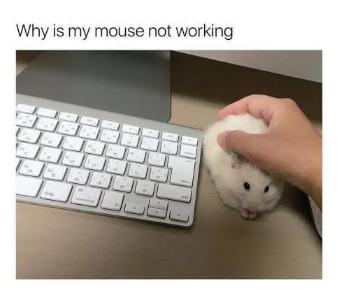 Wireless Mouse.webp
