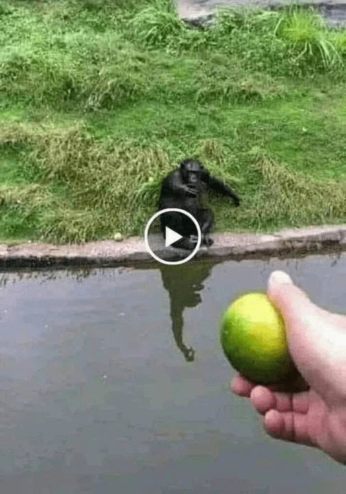 1714699411092.png
