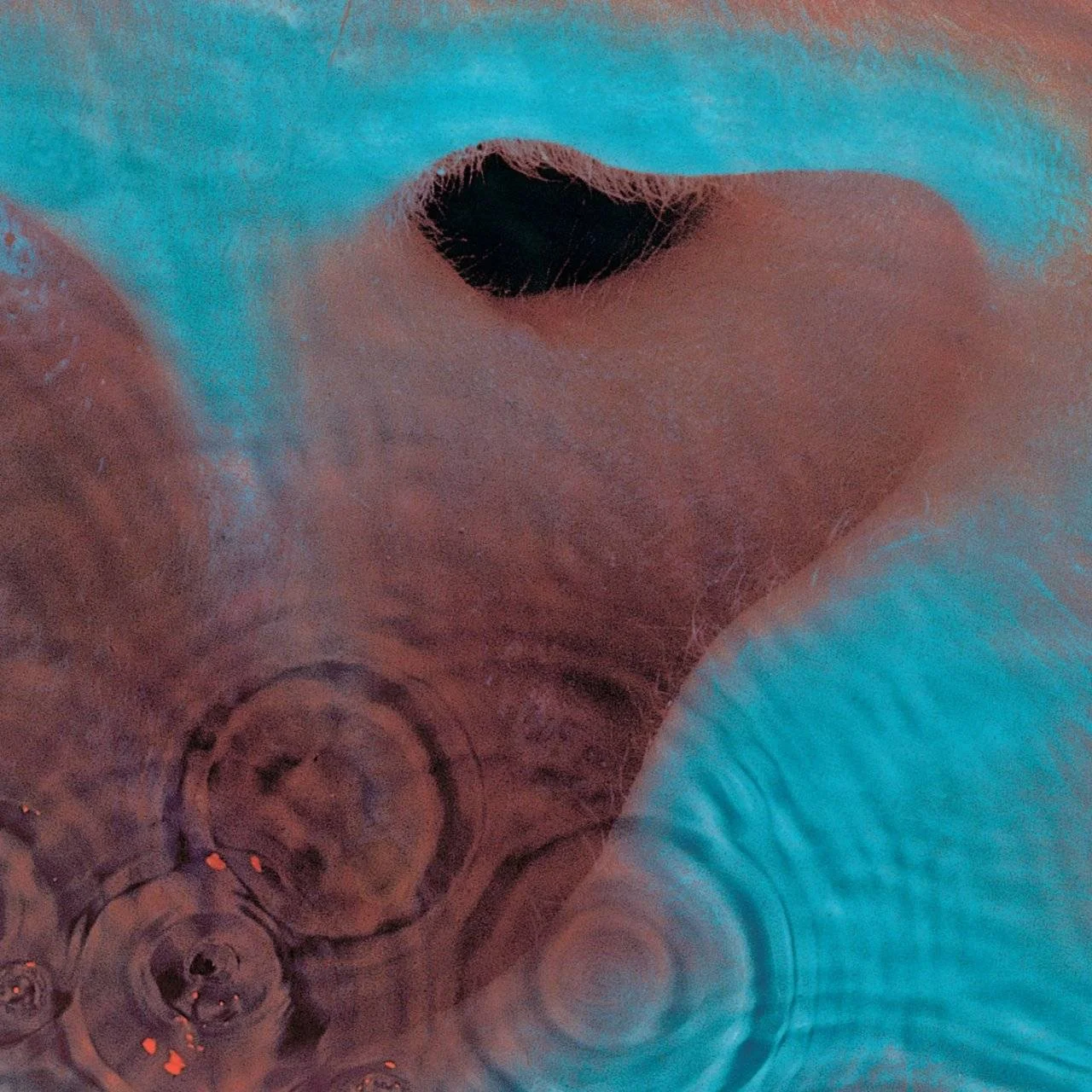 [ Hi-Res TR24 OF ] - Pink Floyd - [ 1971 (2016, 2021) ] - Meddle - [ FLAC 24-Bit 192.0 kHz ]