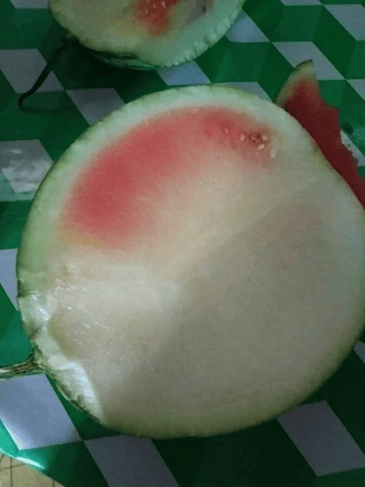 1715262621190.webp