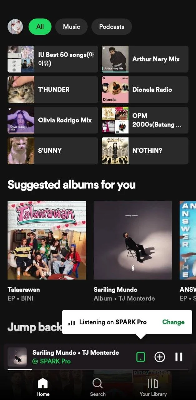 Screenshot_20240515_141250_Spotify.webp