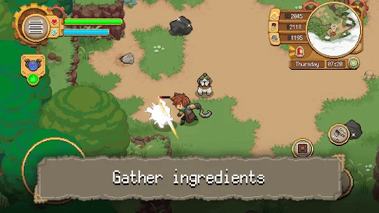 unnamed (5).webp