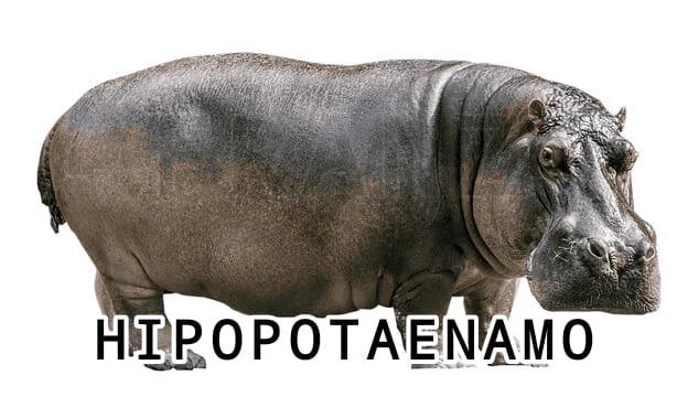 1716771344385.webp