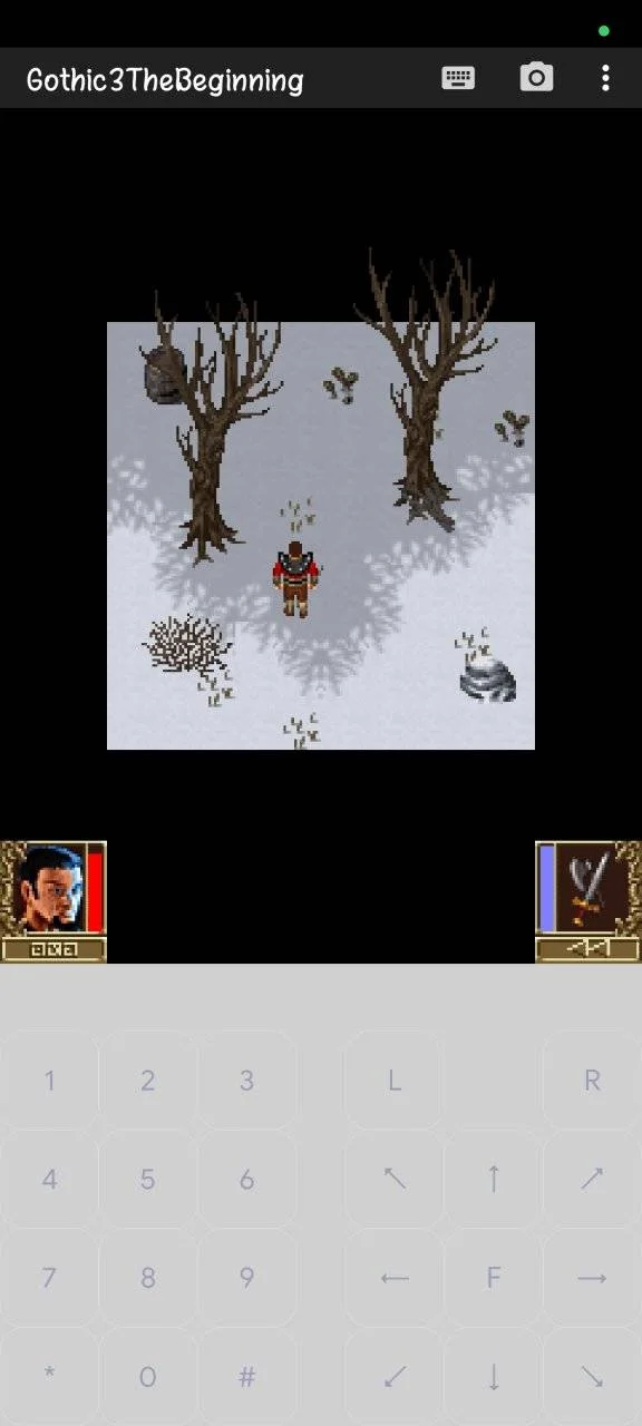 Screenshot_2024-05-30-10-51-14-748_ru.playsoftware.j2meloader.webp