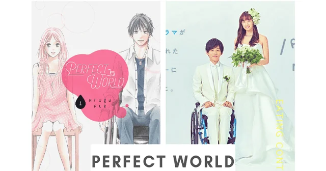 Perfect World (2019).png