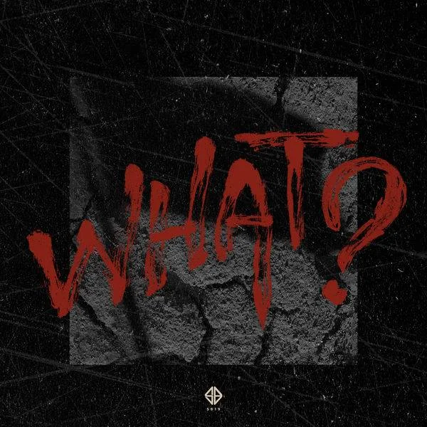 SB19 - What Single (2021) [24-Bit 48kHz] Hi res Flac