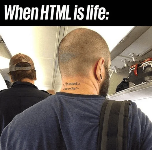 1717984437910.webp