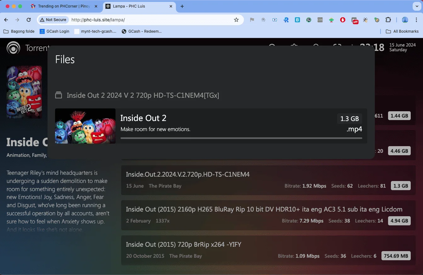 Screen Shot 2024-06-15 at 11.19.02 PM.png