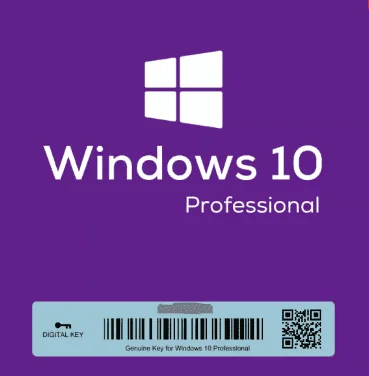 Win10 Professional.webp