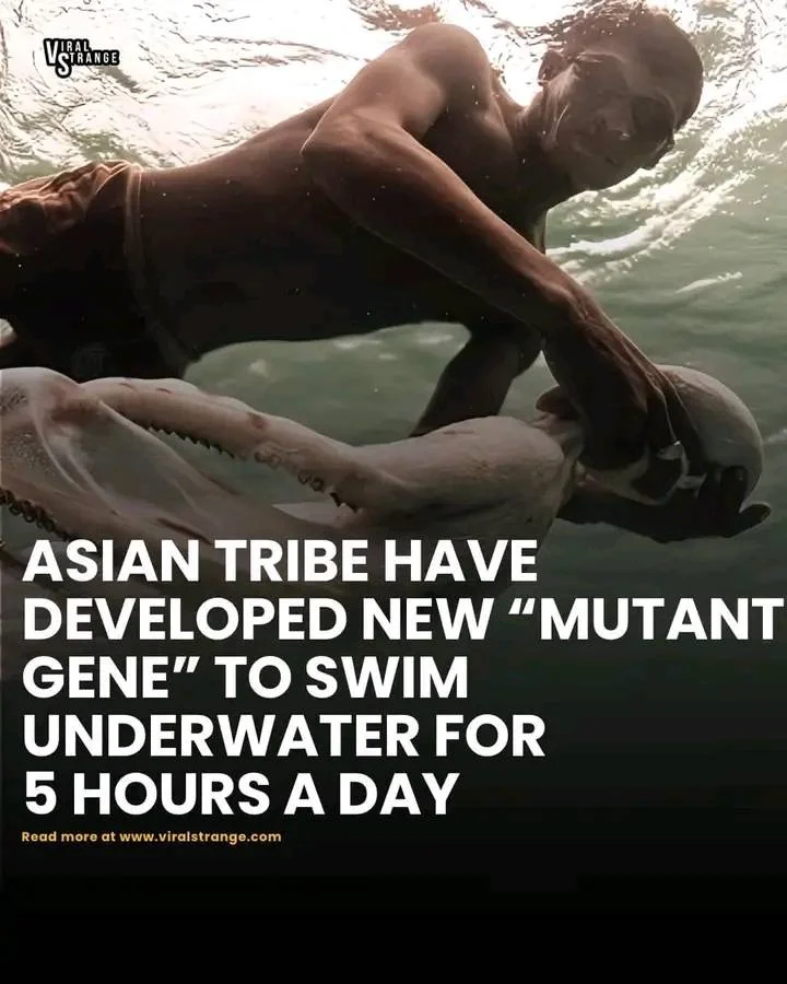 Fish-men in Tawi-tawi