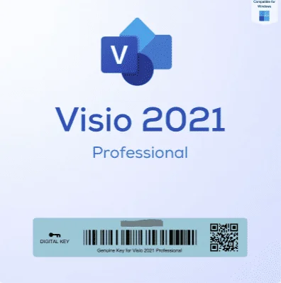Visio2021 Professional.webp