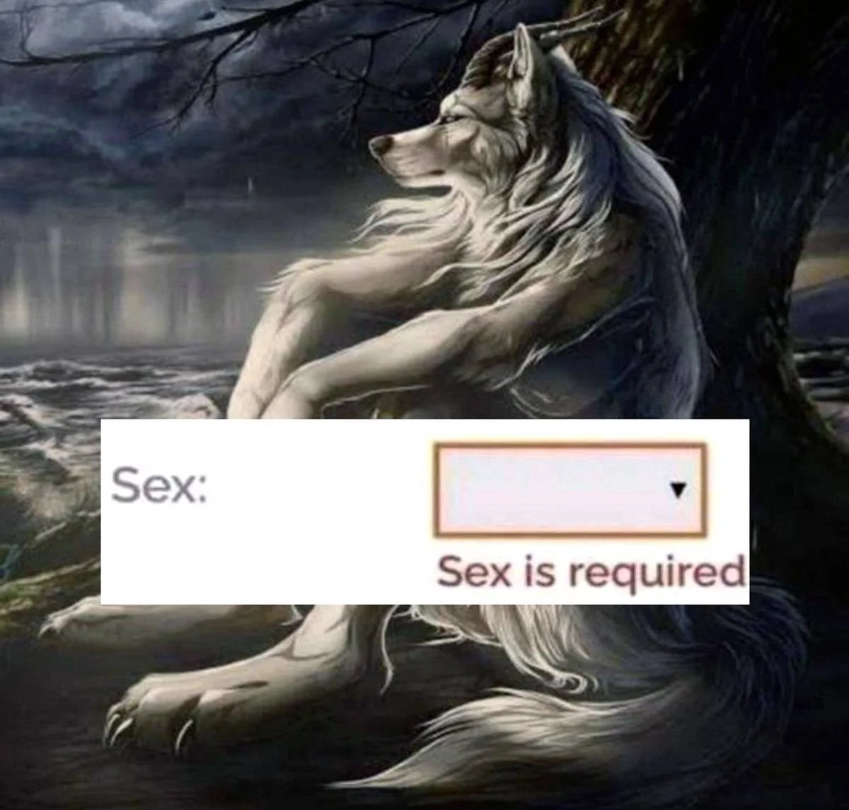 1000009723.jpg