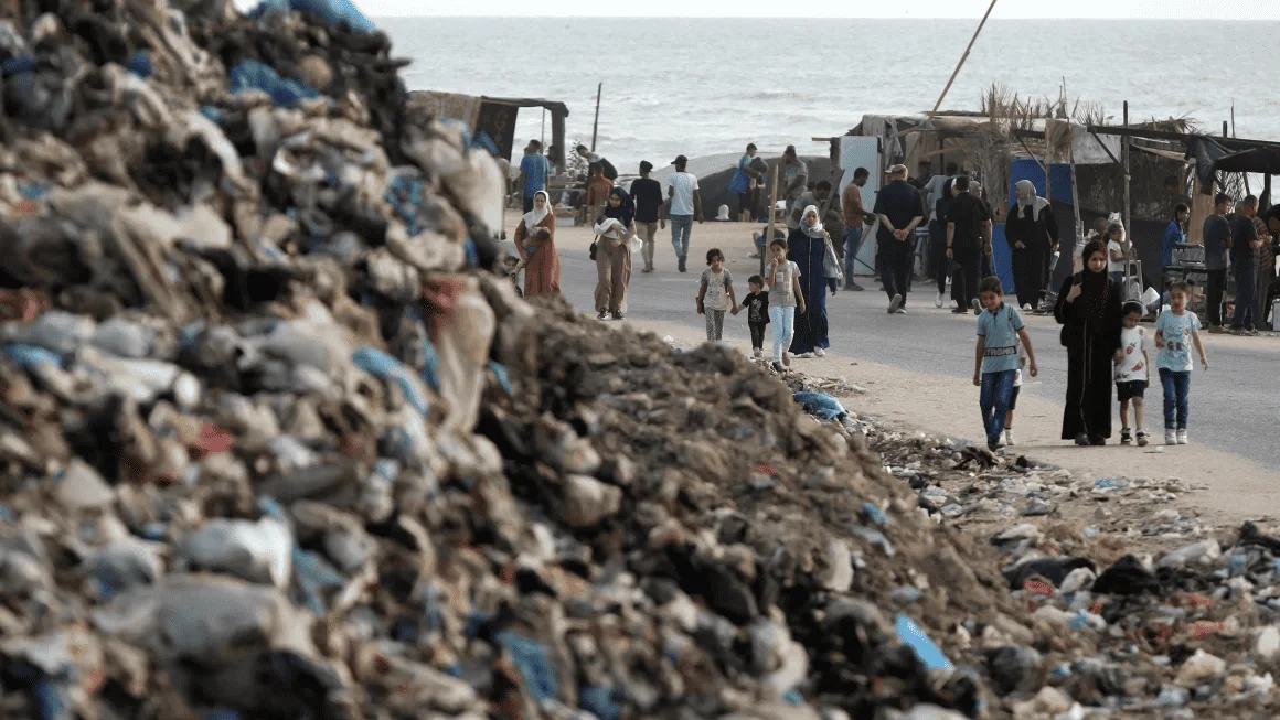 Flies, mosquitoes, raw sewage and mountains of garbage threaten to worsen Gaza's health crisis