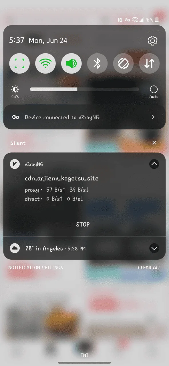 Screenshot_20240624-173706.webp