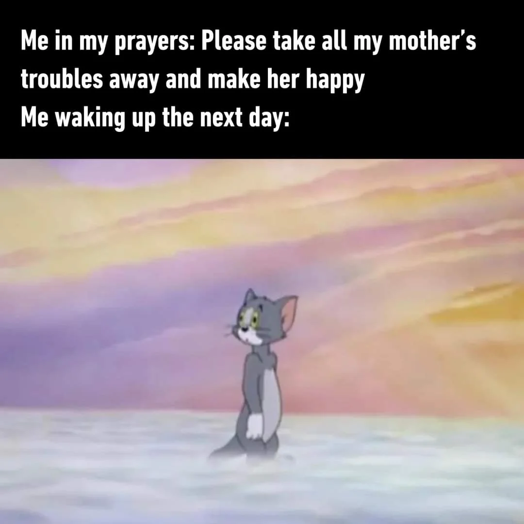 FB_IMG_1719233223683.webp
