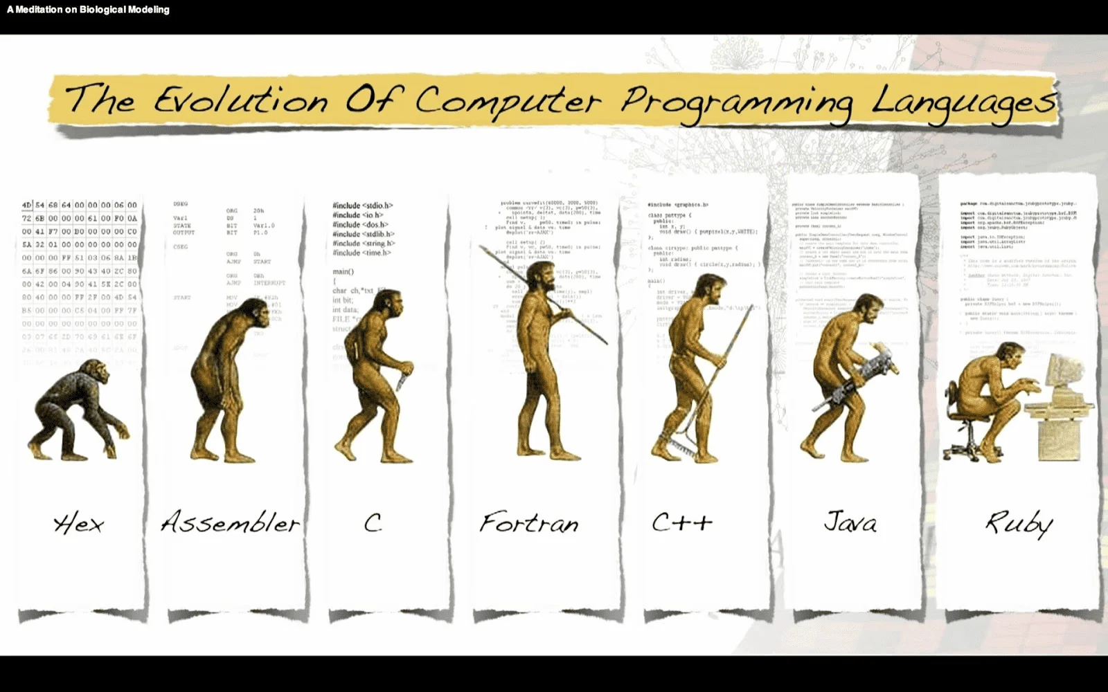 1719328371593.webp