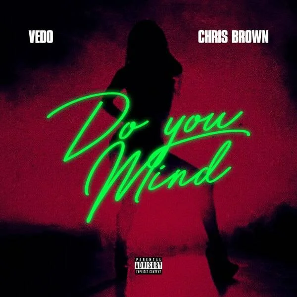 Vedo & Chris Brown - Do You Mind (2023) [24-Bit 88.2kHz] Hi res Flac