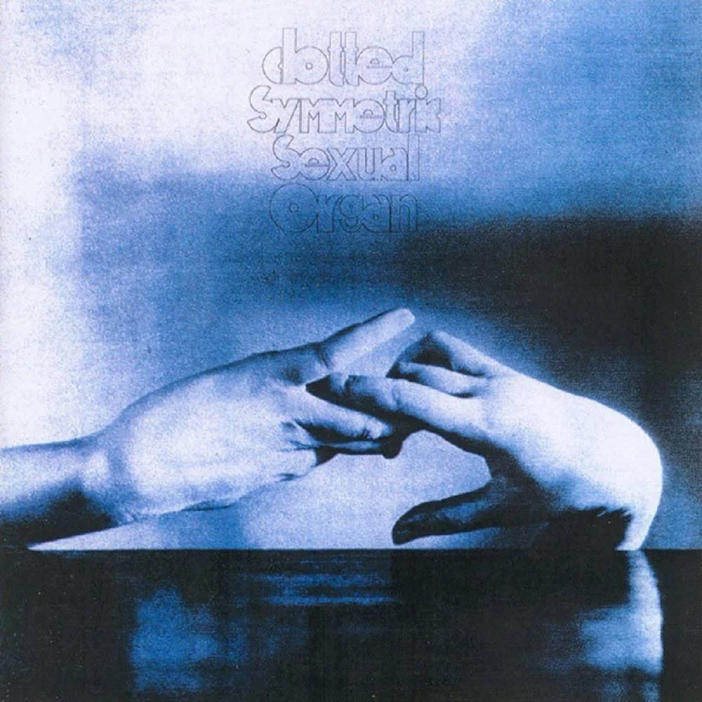 CLOTTED SYMMETRIC SEXUAL ORGAN (C.S.S.O.) - [ 1995 ] - Nagrö Läuxes VIII - [ FLAC 16-Bit 44.1 kHz ] ** Grindcore - Japan (Tokyo)