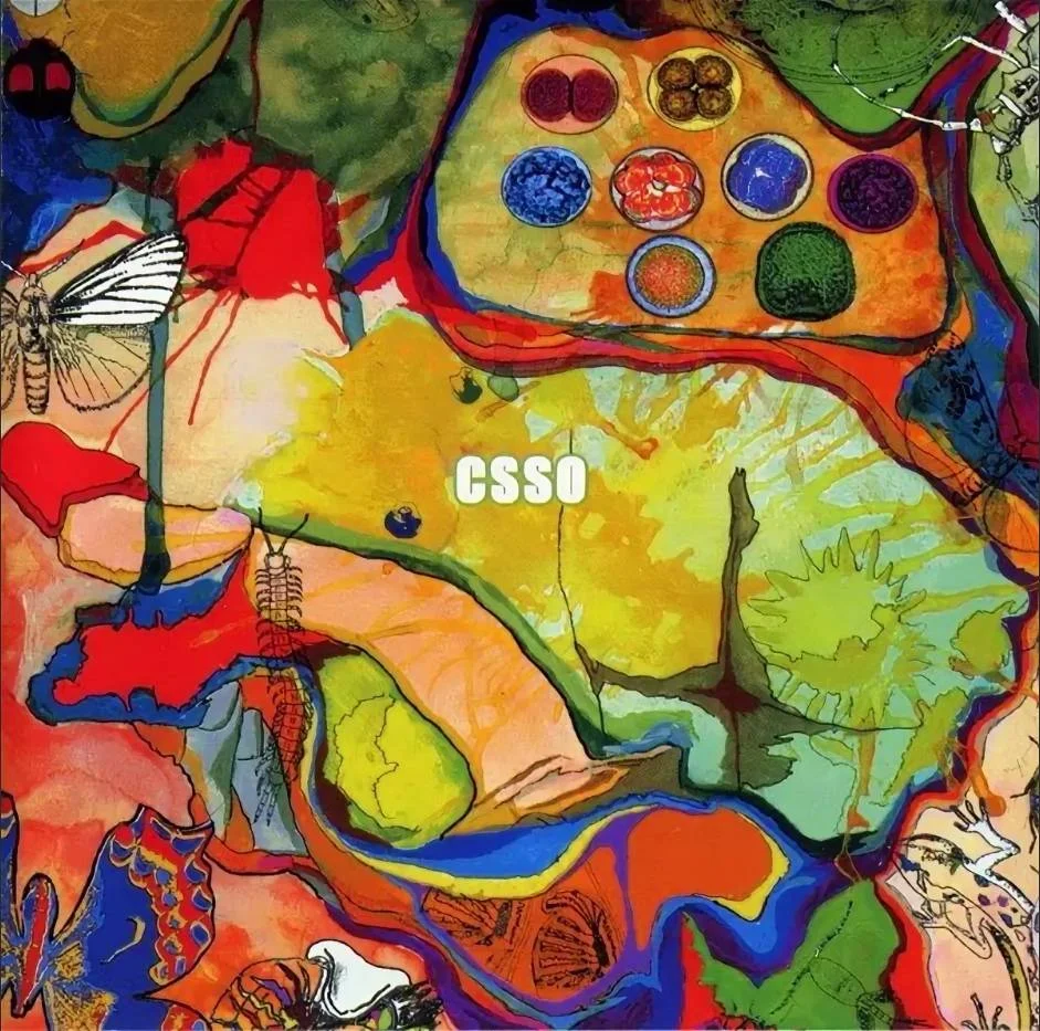 CLOTTED SYMMETRIC SEXUAL ORGAN (C.S.S.O.) - [ 2001 ] - Are You Excrements? - [ FLAC 16-Bit 44.1 kHz ] ** Grindcore - Japan (Tokyo)