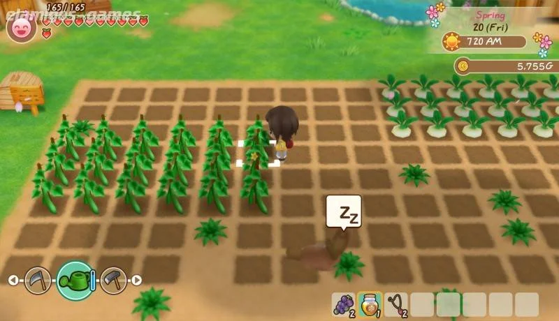 story-of-seasons-friends-of-mineral-town-v29pu.webp