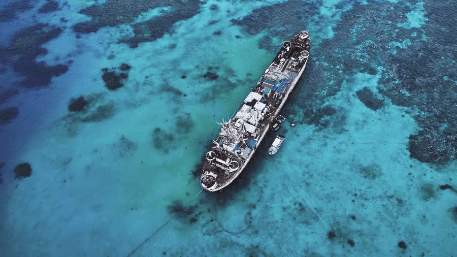 Coral reef suffering due to grounded PH military vessel