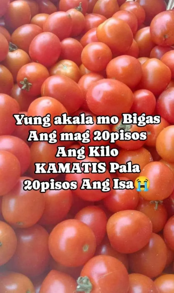 1000033599.webp