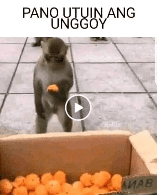 1721054860119.webp