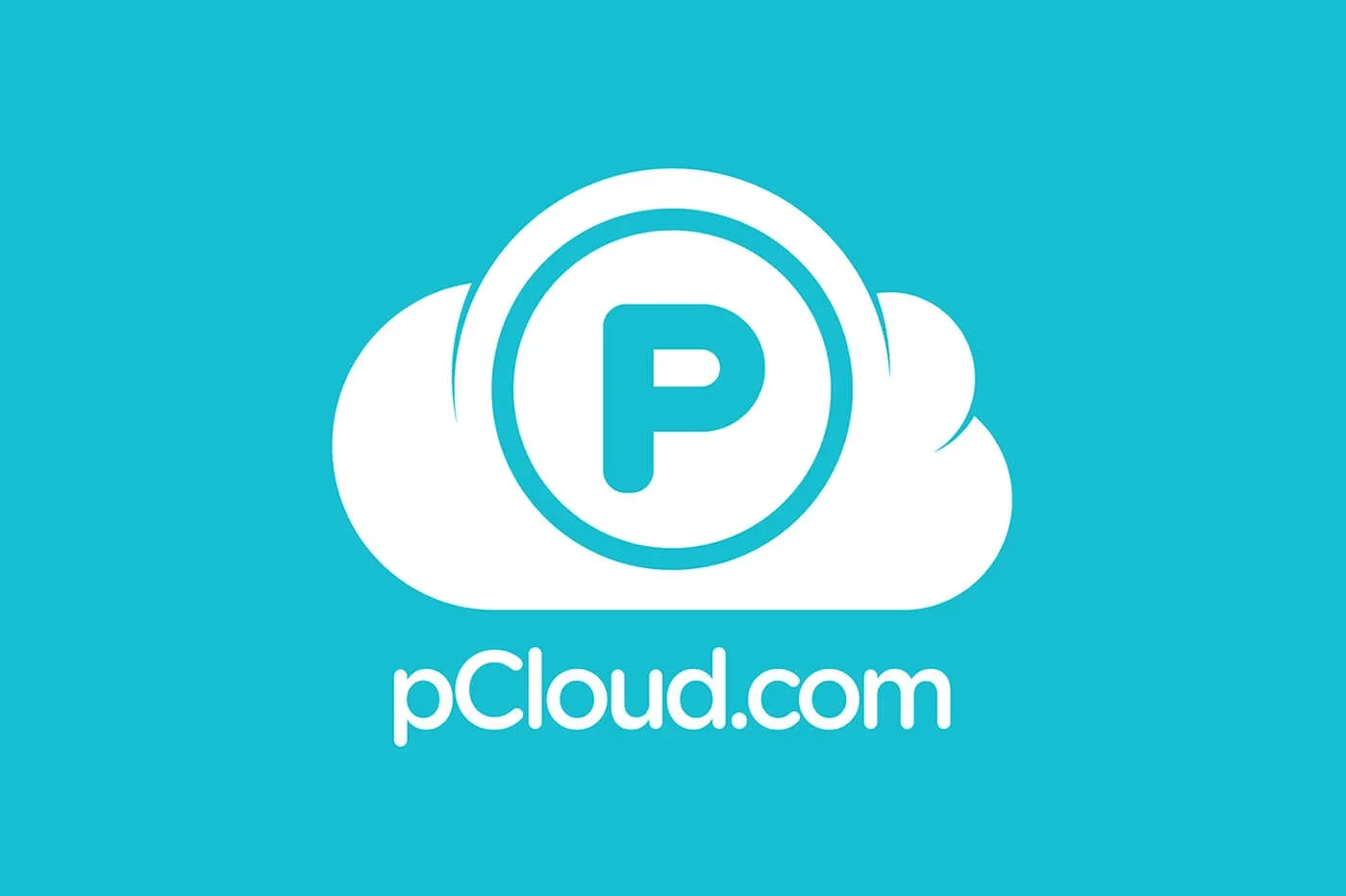 1721121676108.webp
