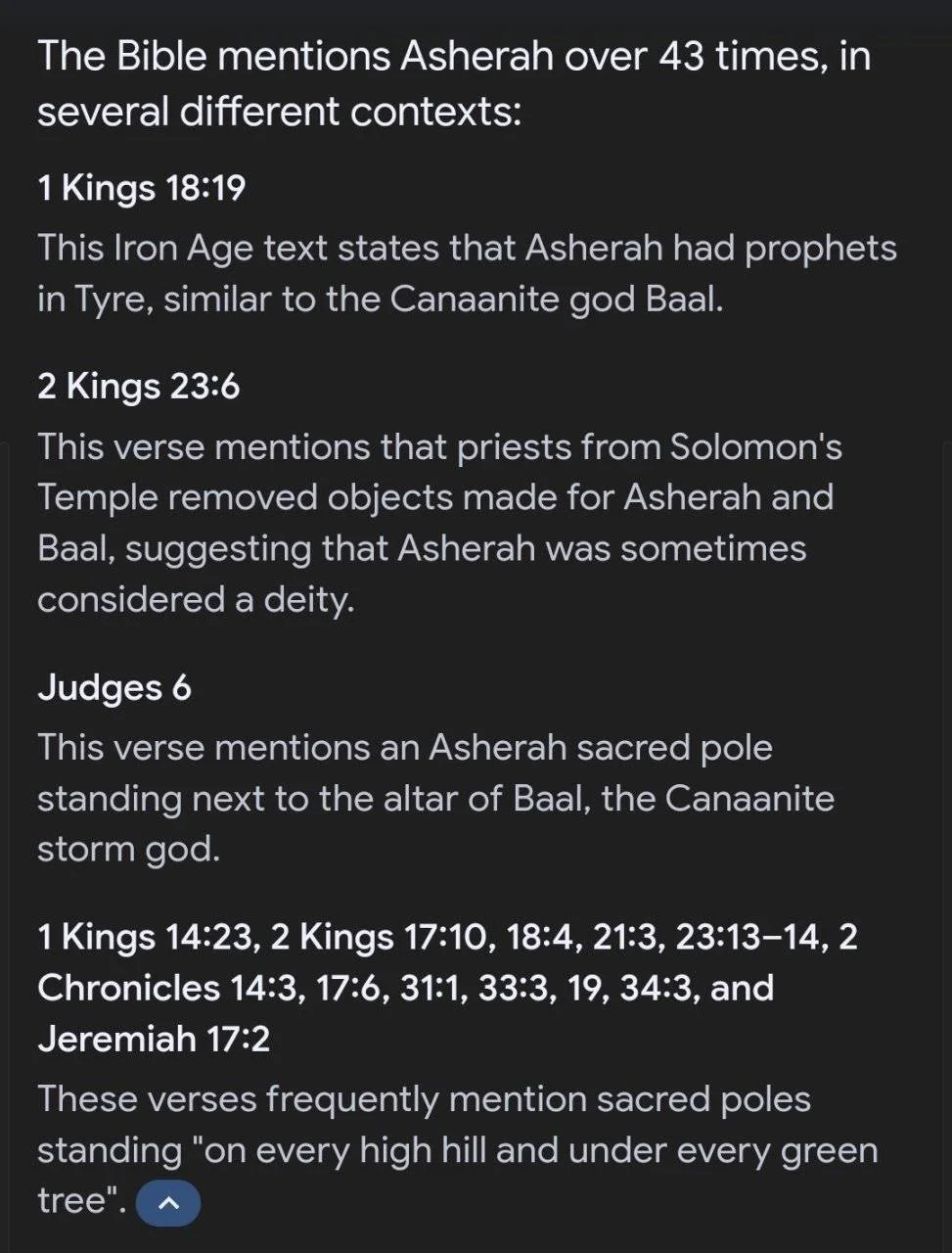 Screenshot_20240717_135652_Google.webp