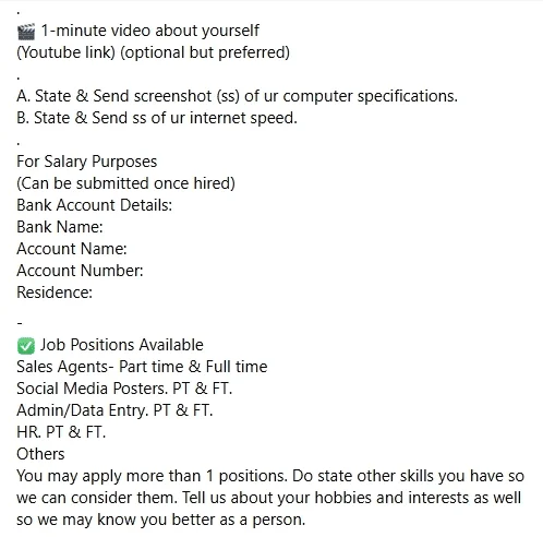 Homebased Online Job 3.png