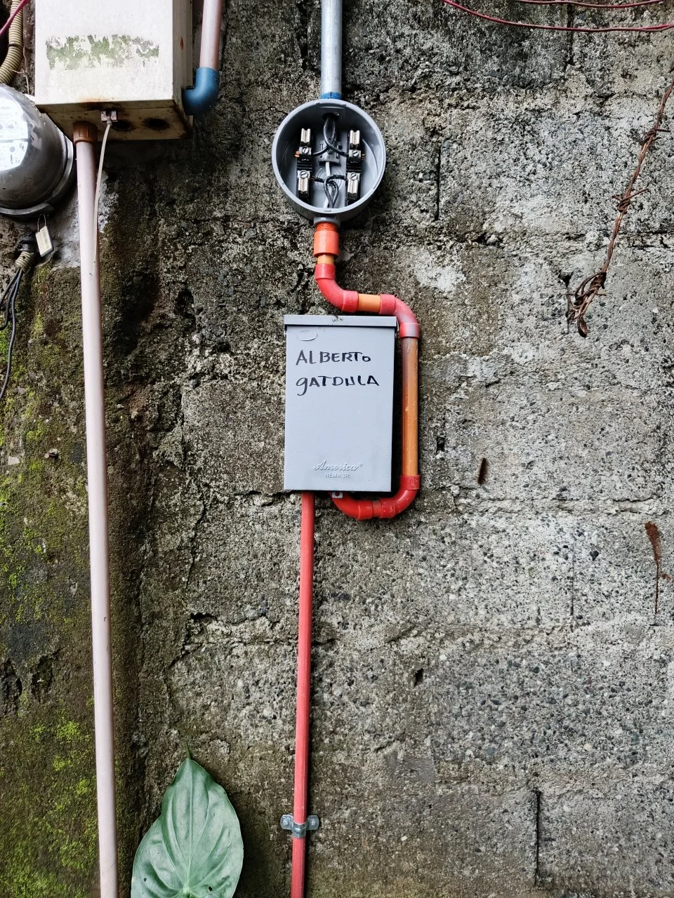 1000051307.jpg