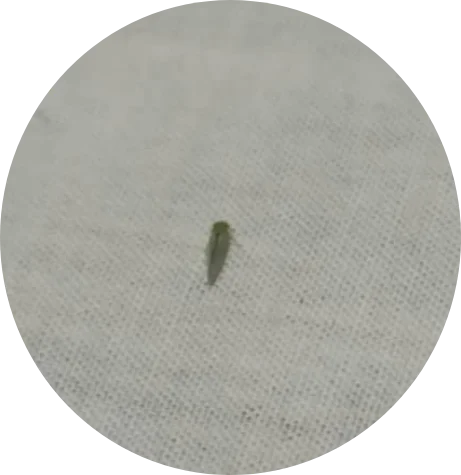 Screenshot_2024-07-24-01-15-18-99_a23b203fd3aafc6dcb84e438dda678b6.webp