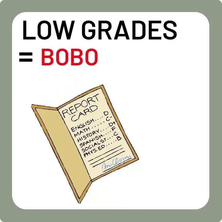 7.webp