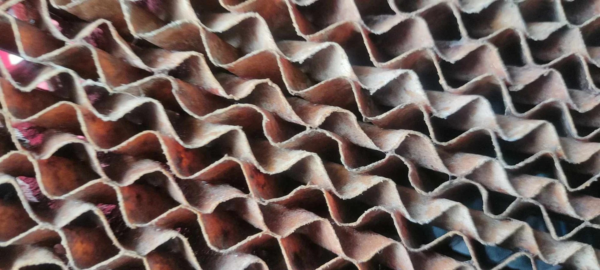 453445036_1198988854675035_5323745311534065902_n.webp