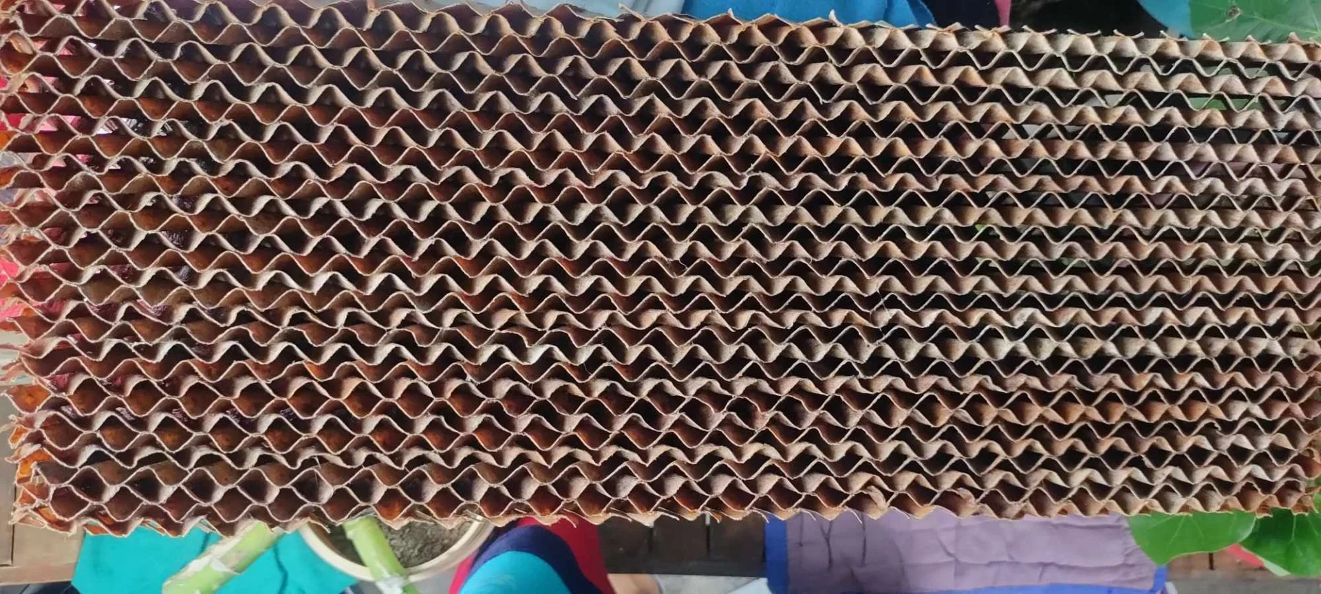 452978450_1163665451581165_273187713135369358_n.webp