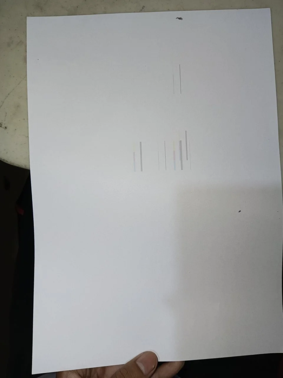 1000077269.webp