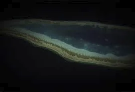 1723206882254.webp