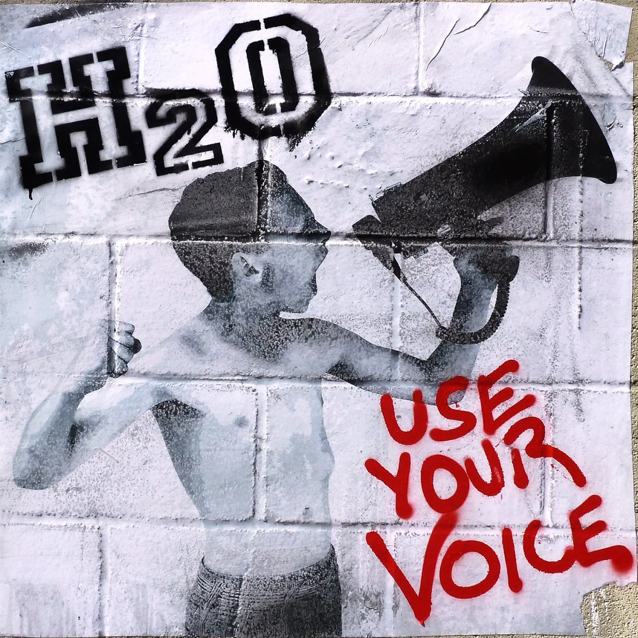 H2O - 2015 - Use Your Voice - FLAC 16-Bit 44.1 kHz ** New York Hardcore (NYHC)/Melodic Hardcore/Punk Rock - U.S.A. (N.Y.C., N.Y.)