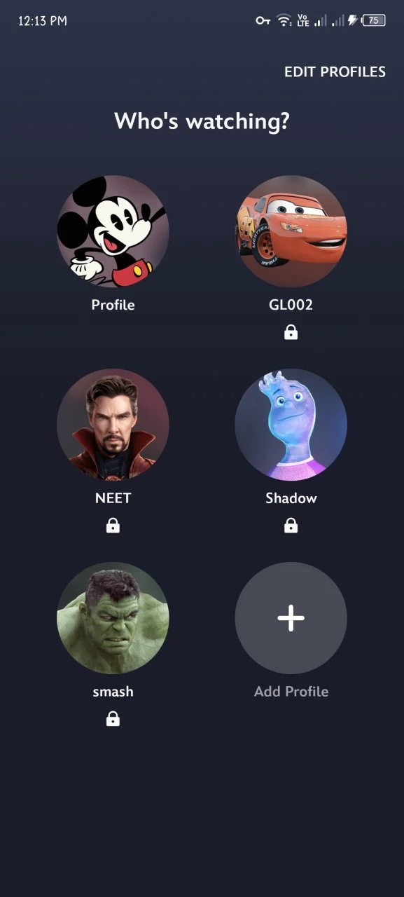 Screenshot_20240817-121320.jpg